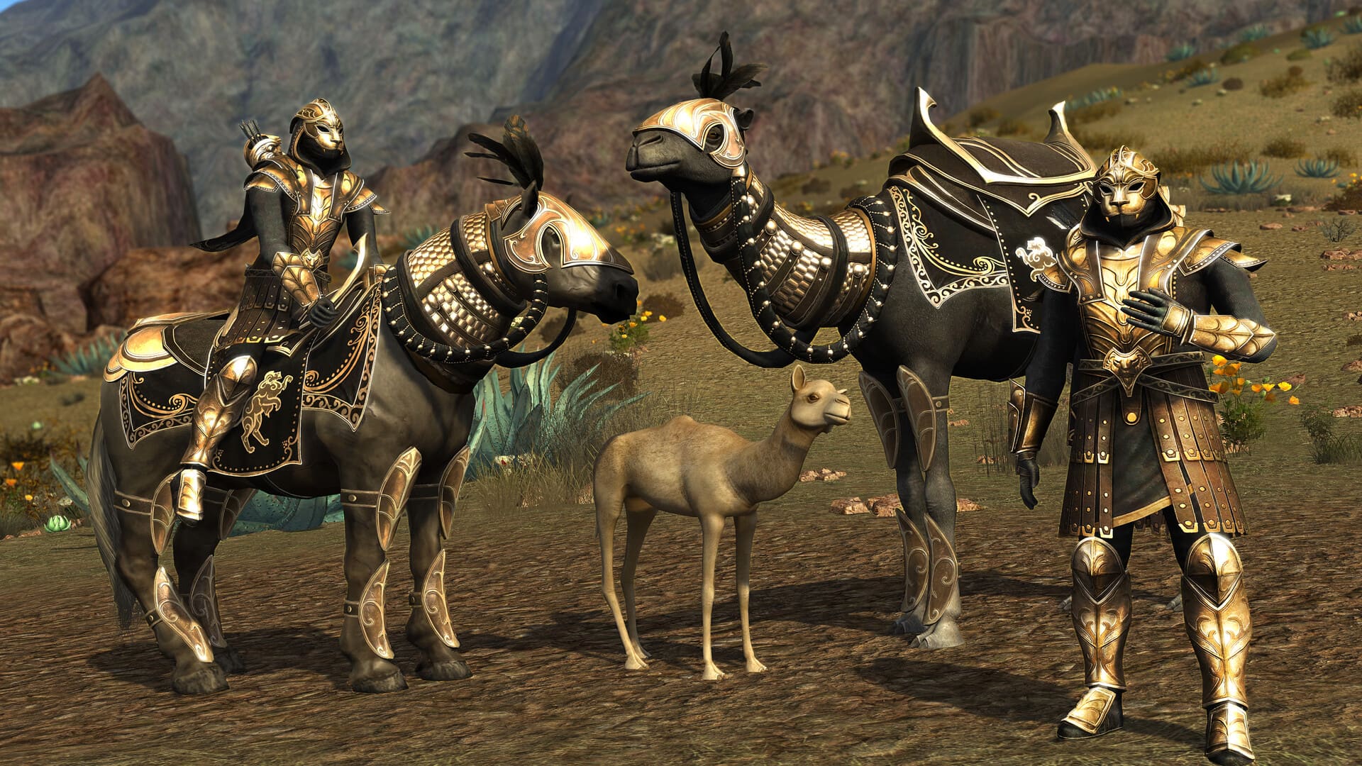 The Lord of the Rings Online™ — Screenshot 1/6