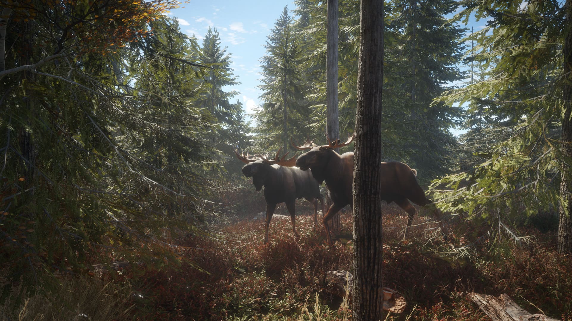 theHunter: Call of the Wild™ — Screenshot 1/6